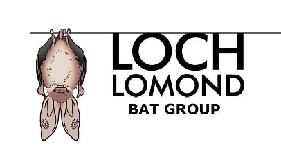 Loch Lomond Bat Group